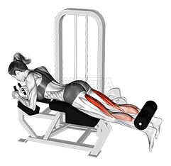 Сгибание ног лежа с рычагом demonstration