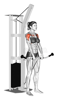 Kabel Front Raise demonstration