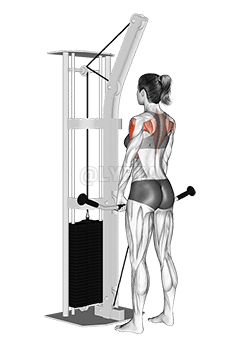 케이블 수직 행 demonstration