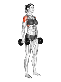 Sollevamenti laterali in piedi con manubri demonstration