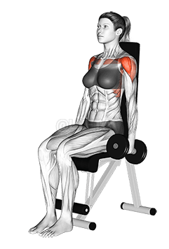 Hantel-Frontheben im Sitzen demonstration