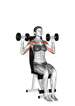 Presse à épaules assise avec haltères demonstration