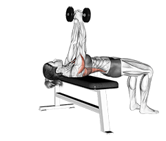 Pulover za ravne ruke s bučicama demonstration