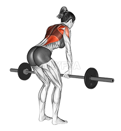 Mrena savijena preko vesla demonstration