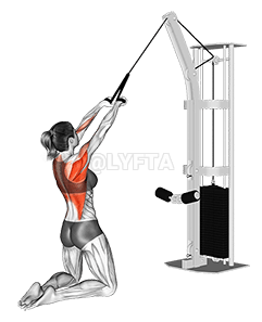 ケーブルハイロー demonstration