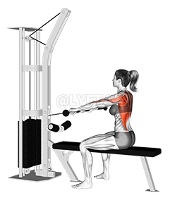 Fila con cavi seduti demonstration