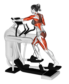 Máquina Elíptica Jeguata demonstration