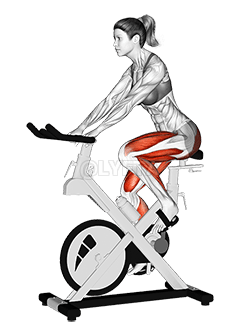 Carrera de Bicicleta Estacionario rehegua demonstration