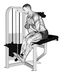 Extensão traseira da alavanca demonstration