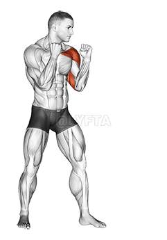 Jab. Boxa demonstration