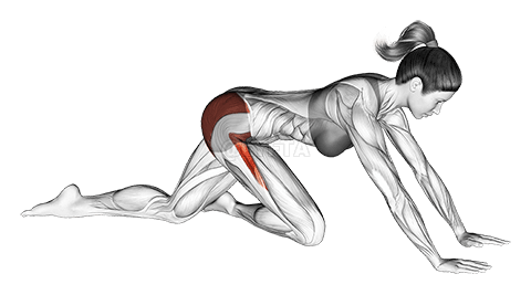 Estirament de maluc de colom demonstration