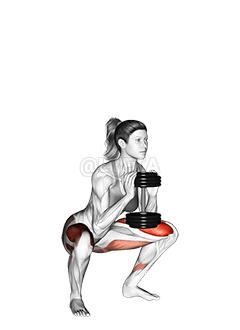 Dumbbell Goblet ƒe Kplɔ̃ɖoƒe demonstration