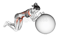 Выкатывание мяча для стабилизации на коленях demonstration