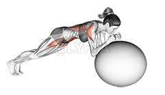 स्थिरता गेंद रोलआउट के बा demonstration