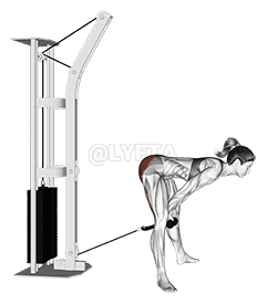 Cavi dritti con gambe passanti demonstration