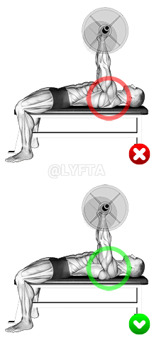 Chest Bench Press - Shoulders demonstration