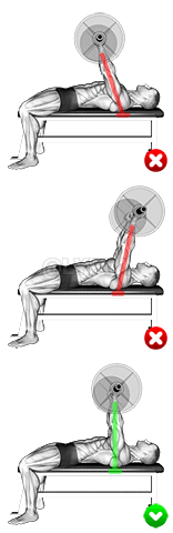 Chest Bench Press - Arms demonstration