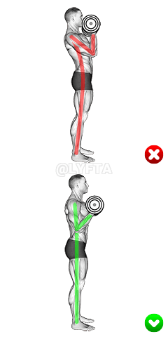 Сгибание рук на бицепс – тело рук demonstration