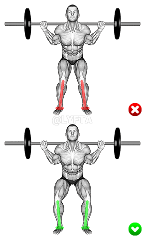 Squat avec haltères - Genoux - Position médiane demonstration