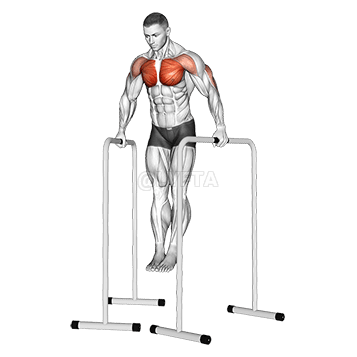 Wide-Grip Chest Dip pa High Parallel Bars demonstration