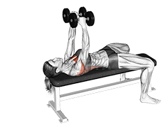 Kurzhantel-Pullover mit geradem Arm demonstration