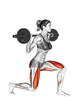 Barbell Split Squat demonstration