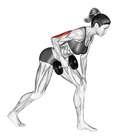 Dumbbell One Arm Kickback demonstration