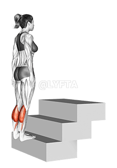 Thumbnail for the video of exercise: Standing Calf Raise