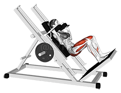 Squat Hack Squat demonstration