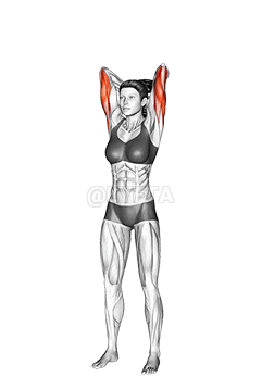 Hantlitega seisva triitsepsi pikendamine demonstration