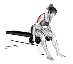 Mosca traseira com halteres demonstration