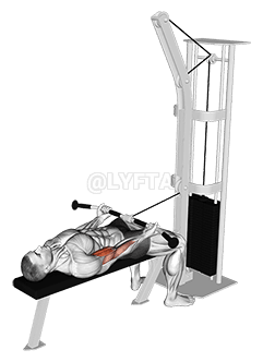 Cable Lying Biceps Curl demonstration