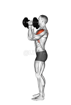 Dumbbell Scott Press demonstration