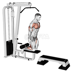 反向腿弯举 demonstration