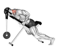 Ležeća ekstenzija vrata sa težinom demonstration