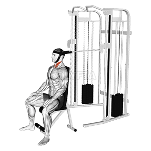 केबल सिटेड नेक फ्लेक्सियन demonstration