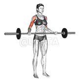 ባርቤል ሰፊ-ይያዝ ይጎትቱ ከርል demonstration