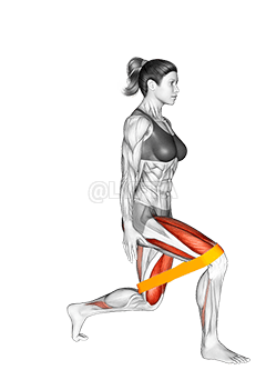 Thumbnail for the video of exercise: Resistance Band Lunge