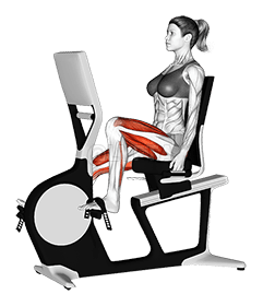 Thumbnail for the video of exercise: Bicycle Recline Walk