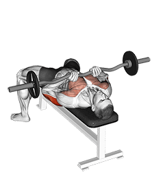 EZバー クローズグリップベンチプレス demonstration