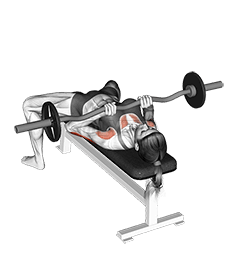 EZバー クローズグリップベンチプレス demonstration