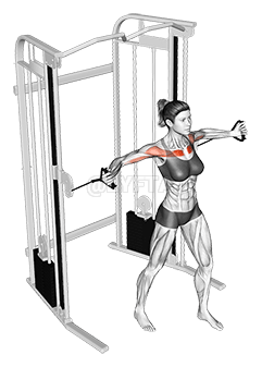 胸上部のケーブルクロスオーバー demonstration