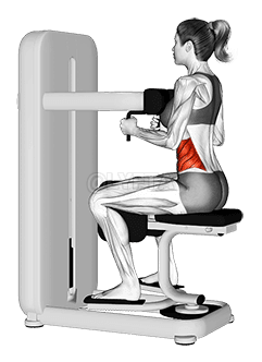 Hendel zittende draai demonstration