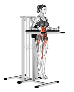 Vertical Leg Raise demonstration