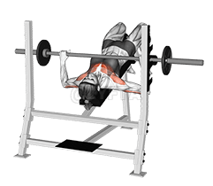 Barbell Okugaana Bench Press demonstration