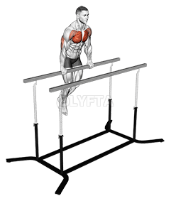 Dip pachifuwa pa Straight Bar demonstration