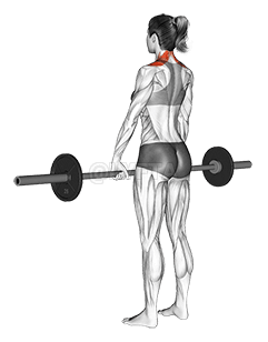 Vektstang trekker på skuldrene demonstration