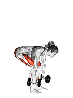 Dumbbell ƒe Ʋukuku Kuku demonstration