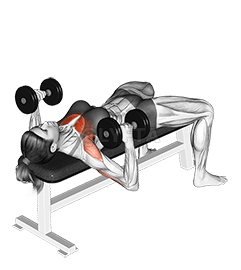 啞鈴臥錘推舉 demonstration