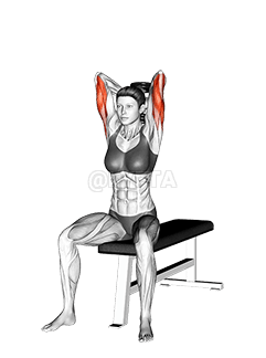 Trizepsverlängerung im Sitzen mit Kurzhanteln demonstration